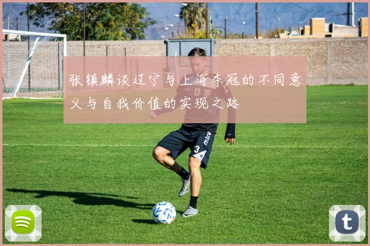 张镇麟谈辽宁与上海夺冠的不同意义与自我价值的实现之路