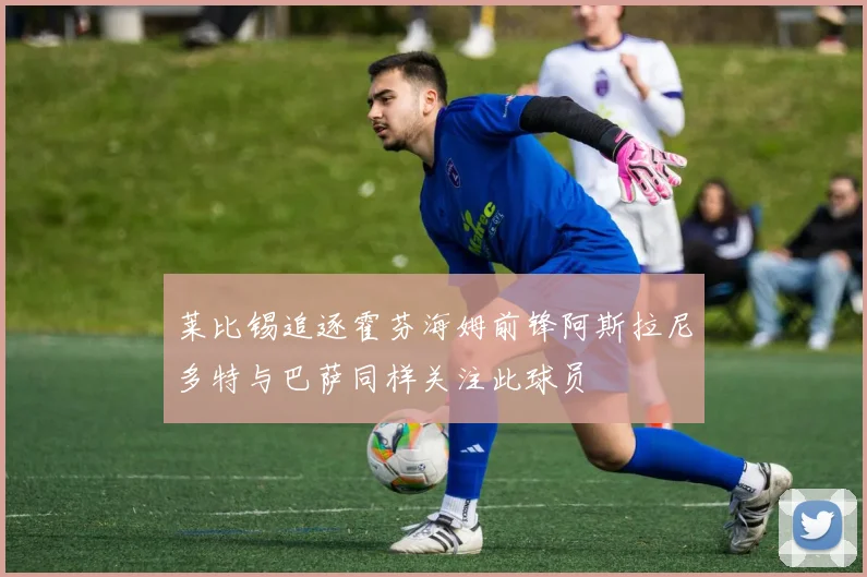 莱比锡追逐霍芬海姆前锋阿斯拉尼多特与巴萨同样关注此球员