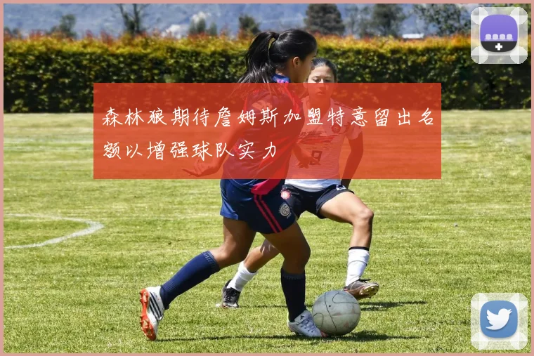 森林狼期待詹姆斯加盟特意留出名额以增强球队实力