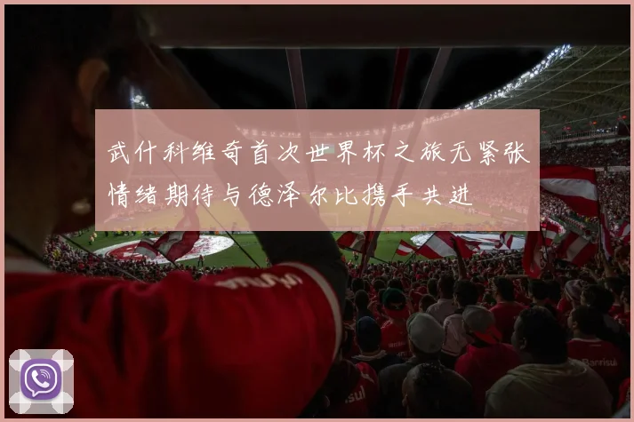武什科维奇首次世界杯之旅无紧张情绪期待与德泽尔比携手共进